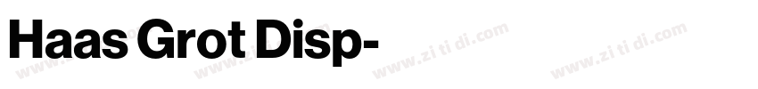 Haas Grot Disp字体转换 Haas Grot Disp字体转换